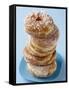 Plate of donuts-Lew Robertson-Framed Stretched Canvas