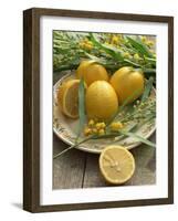 Plate of Lemons and Mimosa Flowers-Michelle Garrett-Framed Photographic Print