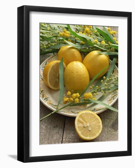 Plate of Lemons and Mimosa Flowers-Michelle Garrett-Framed Photographic Print