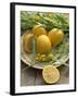 Plate of Lemons and Mimosa Flowers-Michelle Garrett-Framed Photographic Print