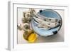 Plate of Mackerel-Erika Craddock-Framed Photographic Print