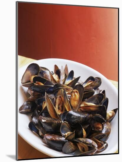 Plate of Mussels, Glasgow, Scotland, United Kingdom-Yadid Levy-Mounted Photographic Print