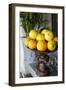 Plate of oranges Cabo San Lucas, Mexico.-Julien McRoberts-Framed Photographic Print