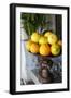 Plate of oranges Cabo San Lucas, Mexico.-Julien McRoberts-Framed Photographic Print