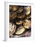 Plate of Oysters, France-Per Karlsson-Framed Photographic Print