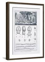 Plate Showing the 'Curee': Parts of the Stag Killed During the Hunt are Given to the Dogs-null-Framed Giclee Print