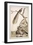 Plate Showing Various Bird Specimens: Bird of Paradise, Tropicbird, Hooded Crow-null-Framed Giclee Print