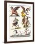 Plate Showing Various Mythological Hybrids, 1830-German School-Framed Giclee Print