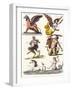 Plate Showing Various Mythological Hybrids, 1830-German School-Framed Giclee Print