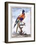 Plate VII-Peter Brown-Framed Giclee Print