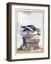 Plate VIII-Peter Brown-Framed Giclee Print