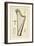 Plate XIX- a Harp from the Encyclopedia of Denis Diderot and Jean Le Rond D'Alembert, 1751-72-Robert Benard-Framed Giclee Print