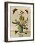 Plate Xl from The Aurelian, Natural History of English Moths and Butterflies, 18th Century-Moses Harris-Framed Giclee Print