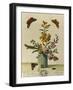 Plate Xl from The Aurelian, Natural History of English Moths and Butterflies, 18th Century-Moses Harris-Framed Giclee Print