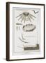 Plate XX: the Spread and Workings of the Pedals in a Harp-Robert Benard-Framed Giclee Print