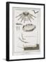 Plate XX: the Spread and Workings of the Pedals in a Harp-Robert Benard-Framed Giclee Print