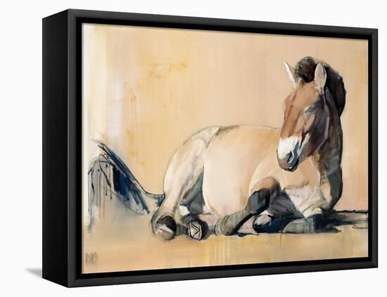 Plateau Sun (Przewalski), 2014-Mark Adlington-Framed Stretched Canvas