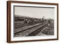 Brown Frame