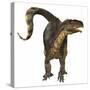 Plateosaurus Dinosaur, Front View-Stocktrek Images-Stretched Canvas