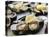 Plates of Fresh Oysters, Sydney's Fish Market at Pyrmont, Sydney, Australia-Andrew Watson-Stretched Canvas
