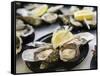 Plates of Fresh Oysters, Sydney's Fish Market at Pyrmont, Sydney, Australia-Andrew Watson-Framed Stretched Canvas