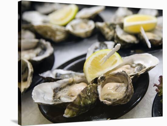 Plates of Fresh Oysters, Sydney's Fish Market at Pyrmont, Sydney, Australia-Andrew Watson-Stretched Canvas