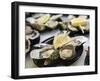 Plates of Fresh Oysters, Sydney's Fish Market at Pyrmont, Sydney, Australia-Andrew Watson-Framed Photographic Print