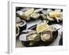 Plates of Fresh Oysters, Sydney's Fish Market at Pyrmont, Sydney, Australia-Andrew Watson-Framed Photographic Print