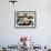 Plates of Fresh Oysters, Sydney's Fish Market at Pyrmont, Sydney, Australia-Andrew Watson-Framed Photographic Print displayed on a wall