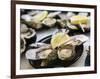 Plates of Fresh Oysters, Sydney's Fish Market at Pyrmont, Sydney, Australia-Andrew Watson-Framed Photographic Print