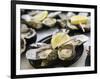 Plates of Fresh Oysters, Sydney's Fish Market at Pyrmont, Sydney, Australia-Andrew Watson-Framed Photographic Print