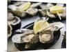 Plates of Fresh Oysters, Sydney's Fish Market at Pyrmont, Sydney, Australia-Andrew Watson-Mounted Photographic Print