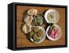 Plates of Traditional Food, Falafel, Babaghanoush and Shawarma, Egypt, North Africa-Upperhall Ltd-Framed Stretched Canvas