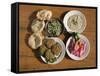 Plates of Traditional Food, Falafel, Babaghanoush and Shawarma, Egypt, North Africa-Upperhall Ltd-Framed Stretched Canvas