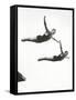 Platform Diving at the Berlin Olympic Games, 1936-null-Framed Stretched Canvas