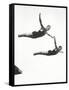 Platform Diving at the Berlin Olympic Games, 1936-null-Framed Stretched Canvas