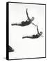 Platform Diving at the Berlin Olympic Games, 1936-null-Framed Stretched Canvas