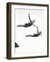 Platform Diving at the Berlin Olympic Games, 1936-null-Framed Photographic Print