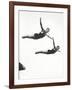 Platform Diving at the Berlin Olympic Games, 1936-null-Framed Photographic Print