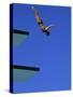 Platform Diving-null-Stretched Canvas