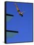 Platform Diving-null-Framed Stretched Canvas