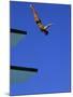 Platform Diving-null-Mounted Premium Photographic Print