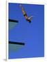 Platform Diving-null-Framed Photographic Print