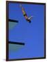 Platform Diving-null-Framed Photographic Print