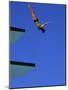 Platform Diving-null-Mounted Photographic Print