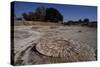 Platform for Grinding Grain in the Harappa Archaeological Site, Pakistan, Indus Civilization-null-Stretched Canvas