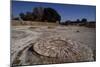 Platform for Grinding Grain in the Harappa Archaeological Site, Pakistan, Indus Civilization-null-Mounted Giclee Print