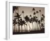 Platinum Palms I-Michael Neubauer-Framed Giclee Print