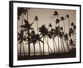 Platinum Palms I-Michael Neubauer-Framed Giclee Print