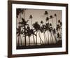 Platinum Palms I-Michael Neubauer-Framed Giclee Print